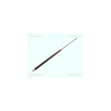 Amortizoare TRISCAN - 8710 16215