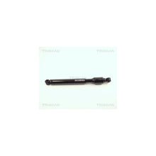 Amortizoare Triscan - 8710 2304