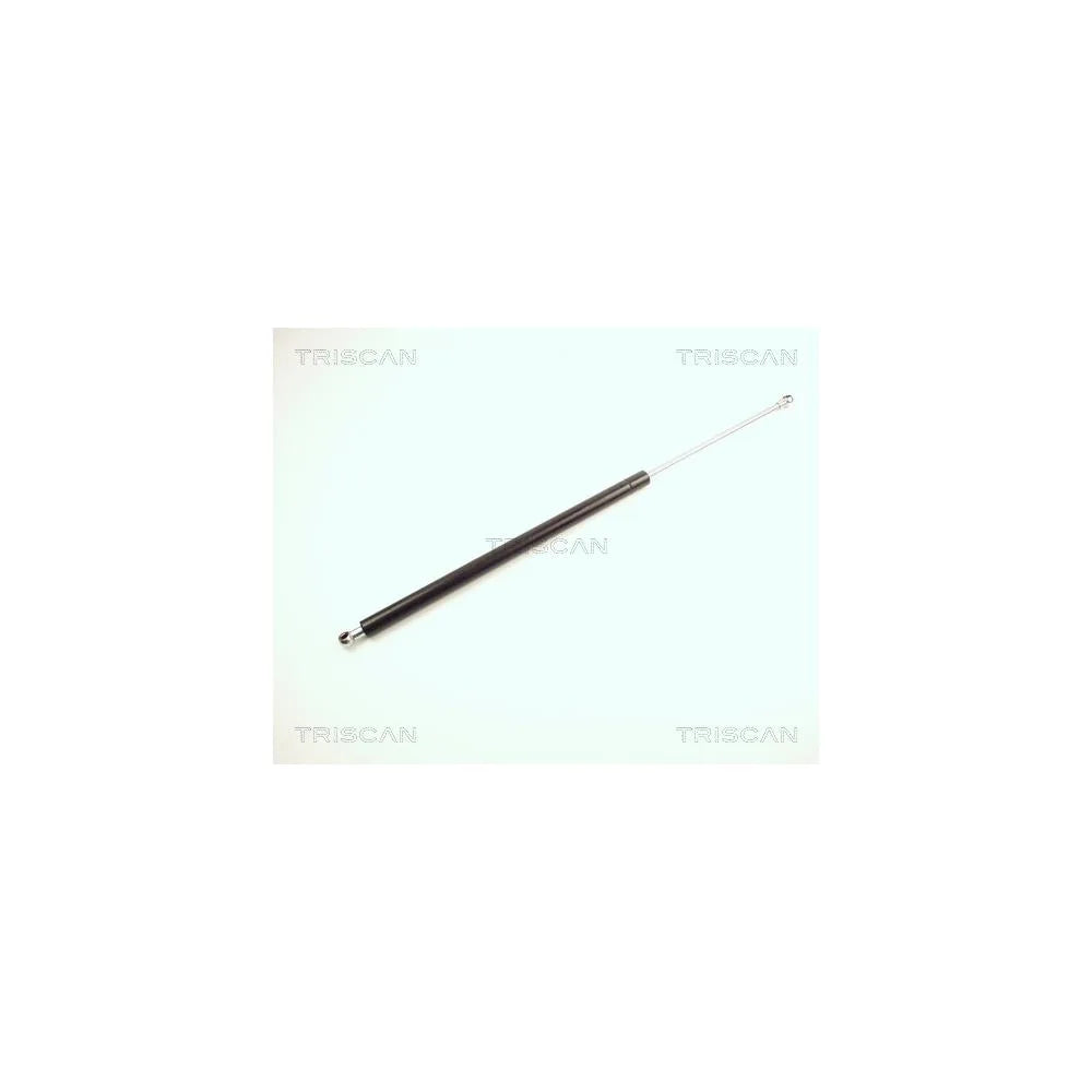 Haion Triscan - 8710 24209