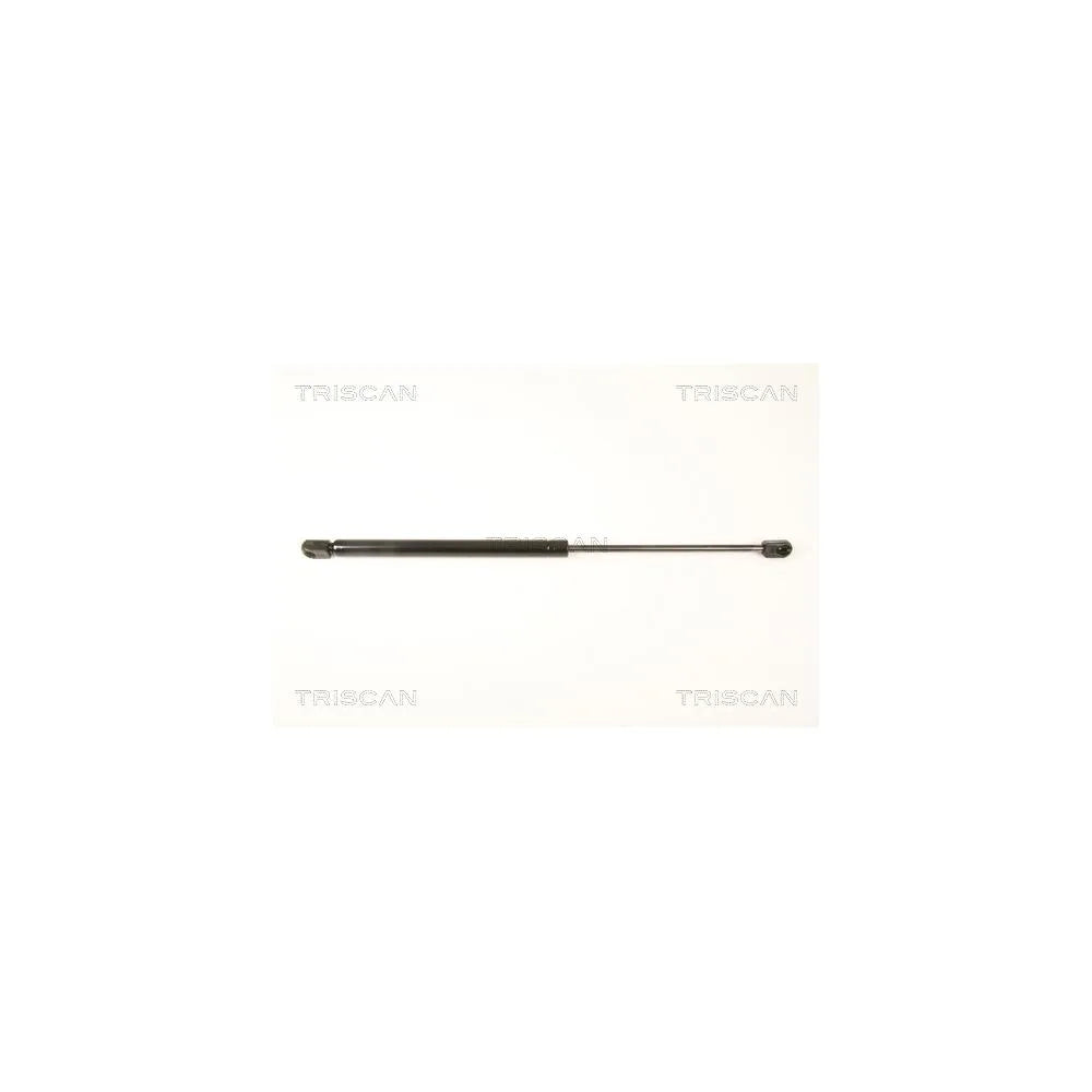 Amortizoare TRISCAN - 8710 24237