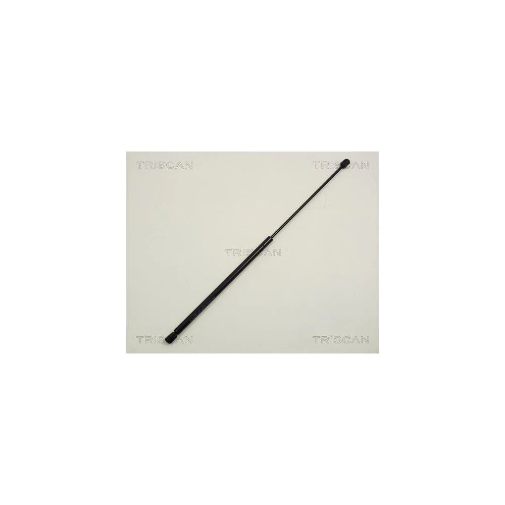 Amortizoare Capota TRISCAN - 8710 29117