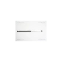 Amortizoare TRISCAN - 8710 29245