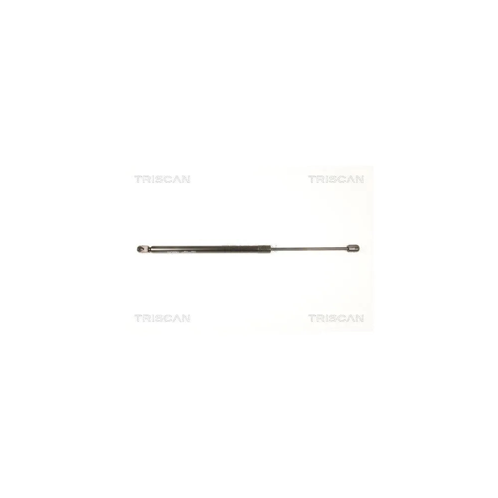 Amortizor Portbagaj Triscan - 871050244