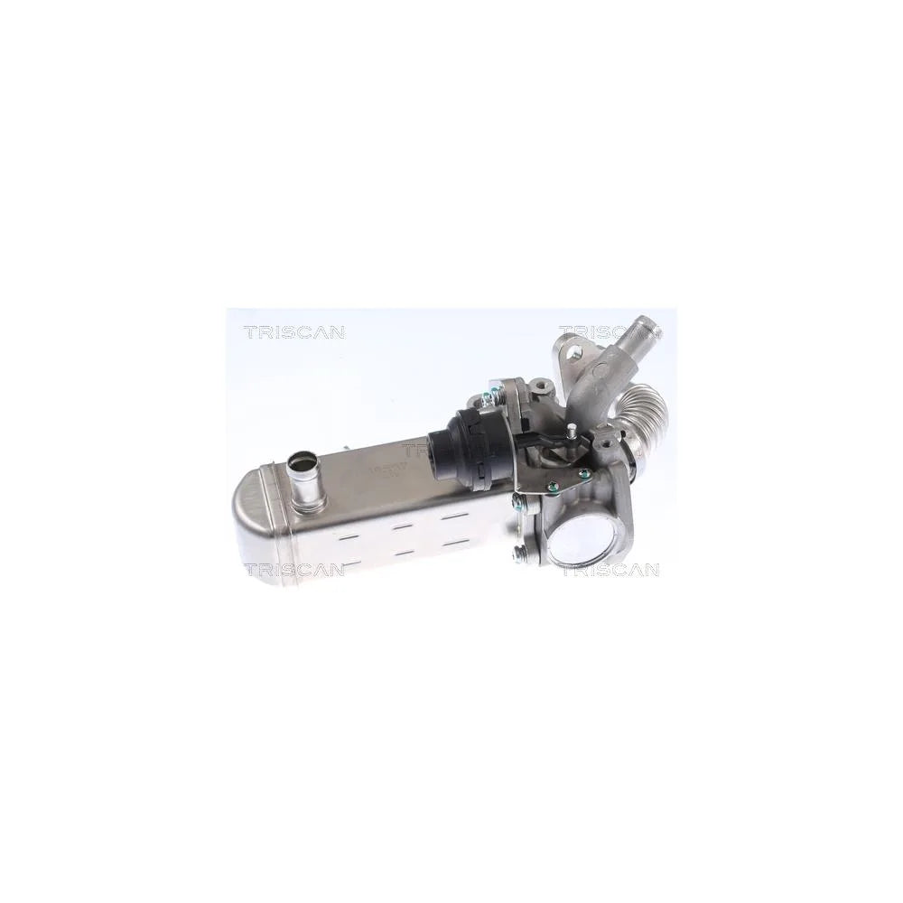 Egr Triscan - 8813 14031