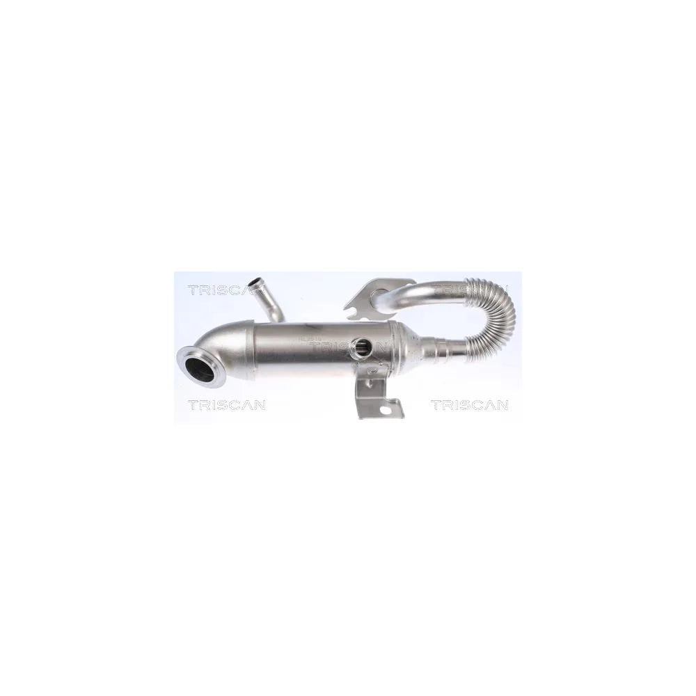 Intercooler Triscan - 8813 16105