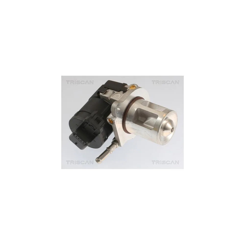 Egr TRISCAN - 8813 23040