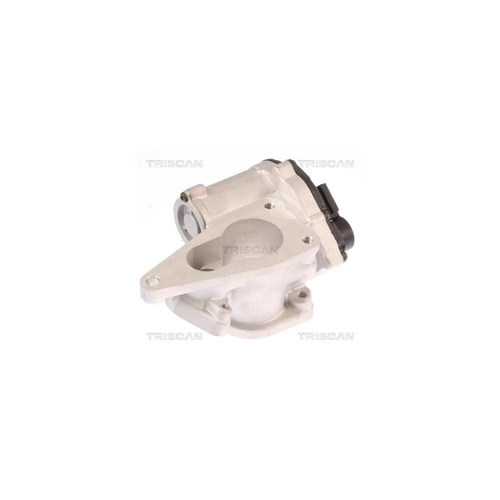 Egr TRISCAN - 8813 25012
