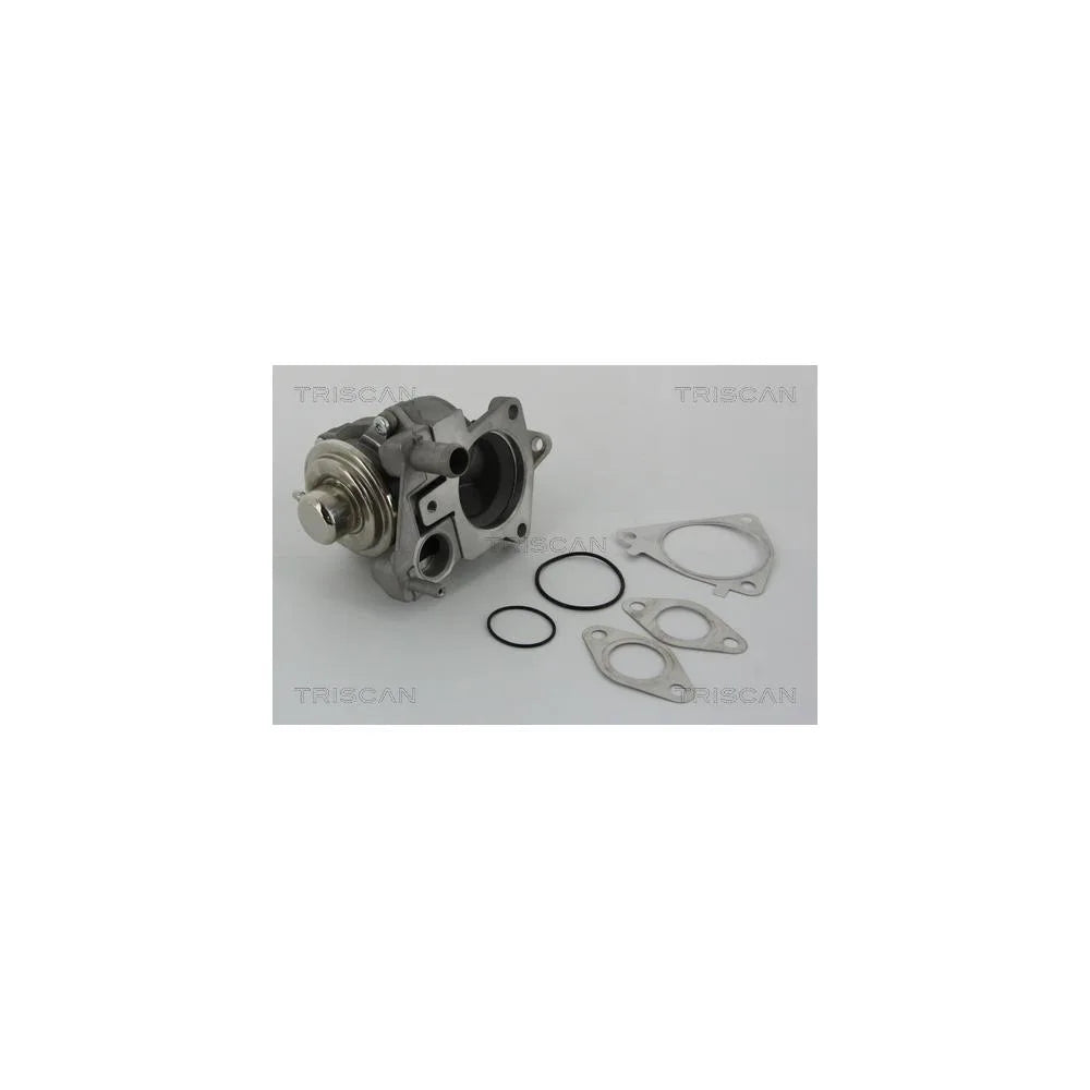 Supapa Egr Triscan - 881328019
