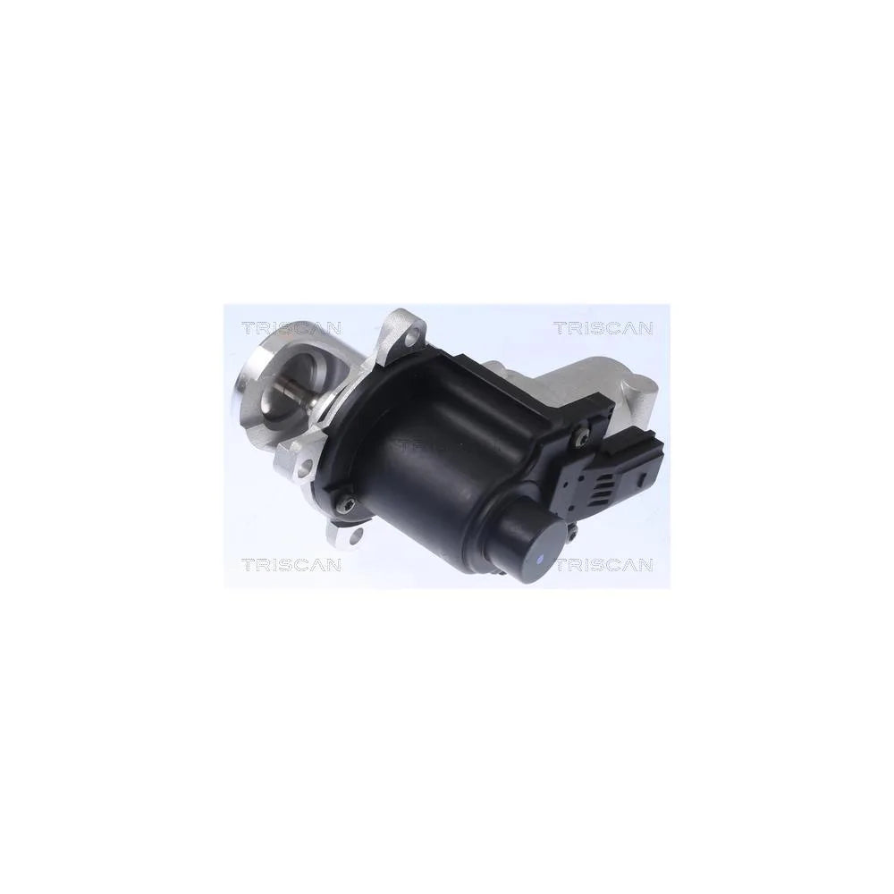 Egr TRISCAN - 8813 29015