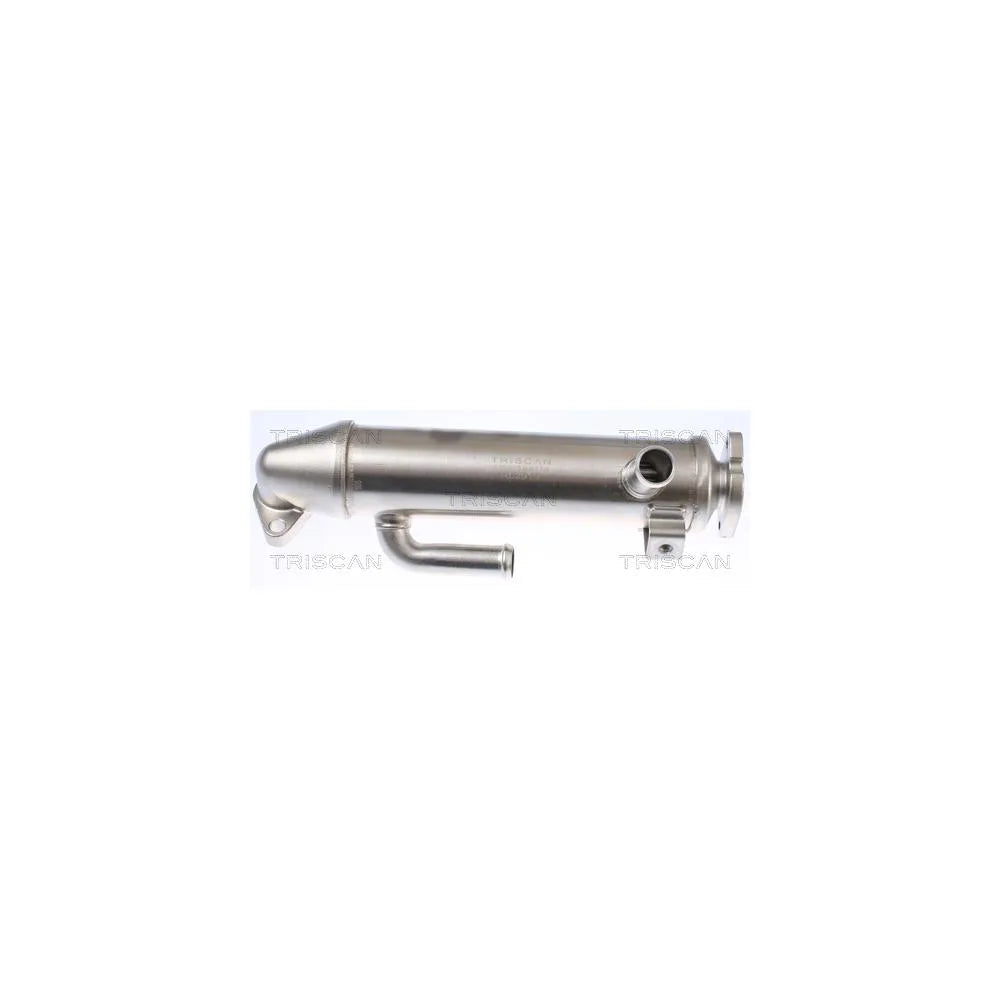 Intercooler Triscan - 8813 16107