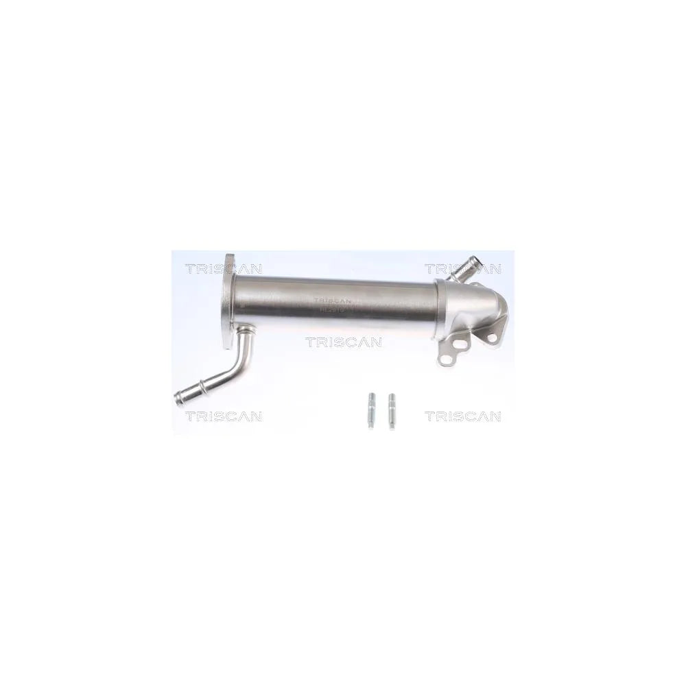 Intercooler Triscan - 8813 16110