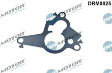 Garnitura, piston pompa vacuum Dr.Motor Automotive - DRM0825