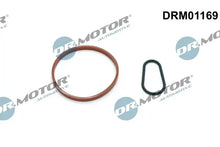 Set garnituri pompa vacuum Peugeot/Citroen 1.6HDI Dr.Motor Automotive - DRM01169