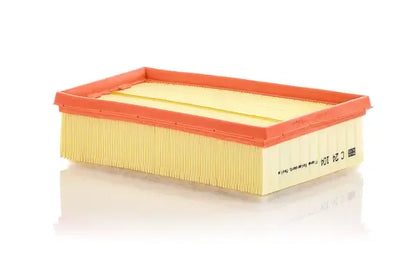 Filtru aer -Filter, Renault, 256x171x76 mm, Mann C24104
