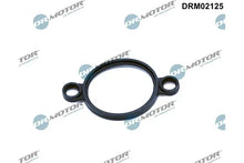 Garnitura, element de actionare (ax excentric) Dr.Motor Automotive pentru BMW - DRM02125