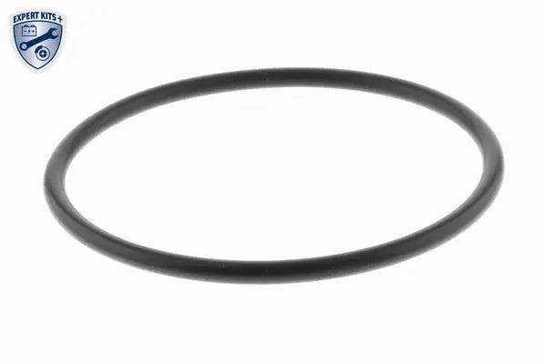 Garnitura supapa EGR Audi/Seat/Skoda/VW 3MMX55 VMO - V10-63-0101