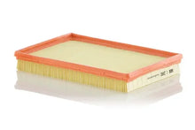 Filtru aer -Filter, 289x194x42 mm, Mann C2880