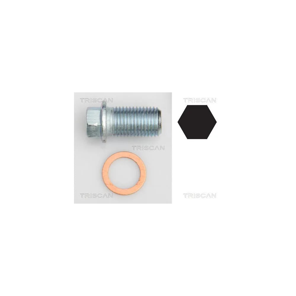 Alte Uleiuri Auto TRISCAN - 9500 1012