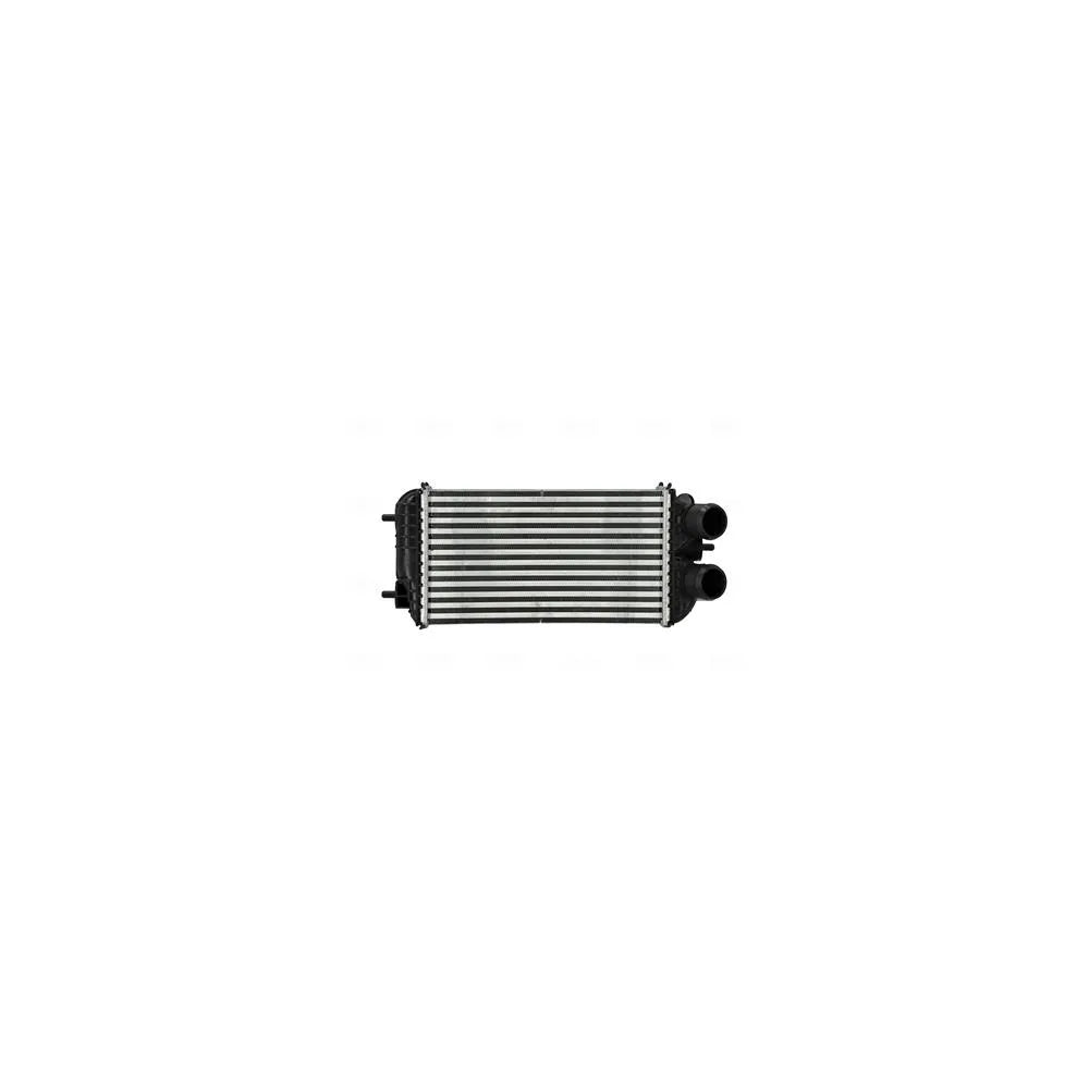 Intercooler Nissens - 961367