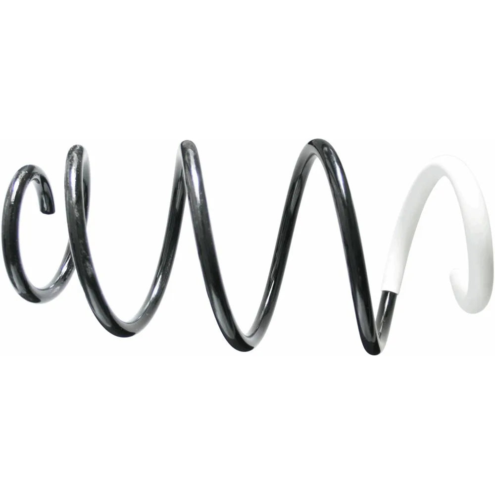 Punte Fata Sachs 0.61 kg 34 mm - 993 301