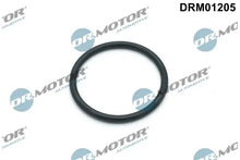 Garnitura pompa apa BMW 1.6/1.8/1.9 1 buc Dr.Motor Automotive pentru BMW - DRM01205