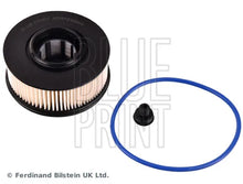 Filtru Combustibil BLP pentru Hyundai Santa Fe Iv, Kia Carnival Iv - ADBP230044
