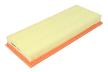 Alte Filtre Auto FILTRON 0.25 kg - AP 002