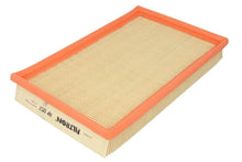 Alte Filtre Auto FILTRON 0.25 kg - AP 057
