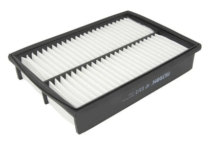 Filtru Aer FILTRON 0.33 kg - AP 113/2