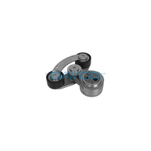Intinzator Curea, Curea Distributie Dayco - APV4023