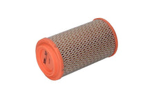 Alte Filtre Auto FILTRON 0.14 kg - AR 215