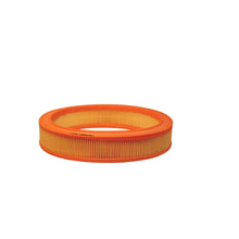 Alte Filtre Auto FILTRON 0.30 kg - AR 223