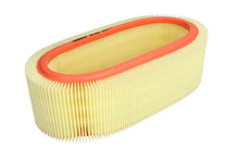 Alte Filtre Auto FILTRON 0.30 kg - AR 225
