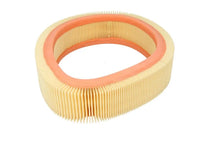 Alte Filtre Auto FILTRON 0.25 kg - AR 229