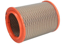 Alte Filtre Auto FILTRON 0.32 kg - AR 236