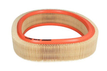 Alte Filtre Auto FILTRON 0.30 kg - AR 276