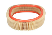 Alte Filtre Auto FILTRON 0.30 kg - AR 276
