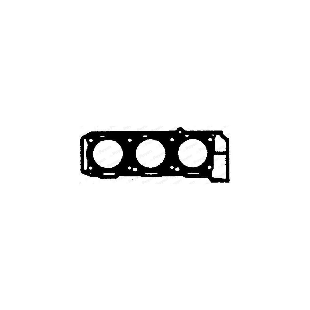 Garnitura Chiulasa Payen 27 mm 34 mm - AY620