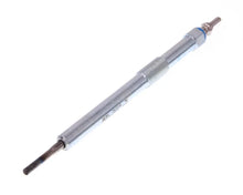 Bujie Incandescenta Renault Laguna 2,0Dci 05- BER - BERGN1016
