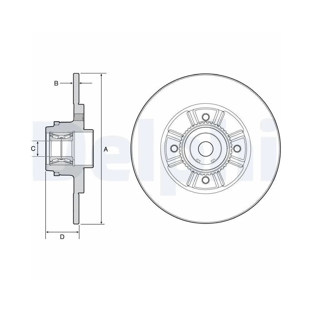 Discuri Frana Delphi pentru Renault Clio/Megane - BG9114RS