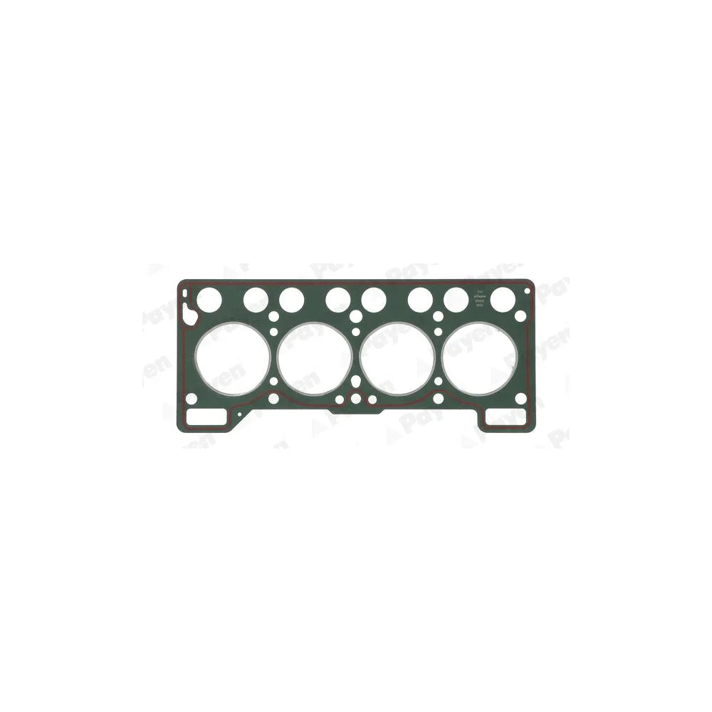 Garnitura Chiulasa Payen - BH680