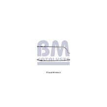 Alte Piese Evacuare Bm Catalysts - BM50162