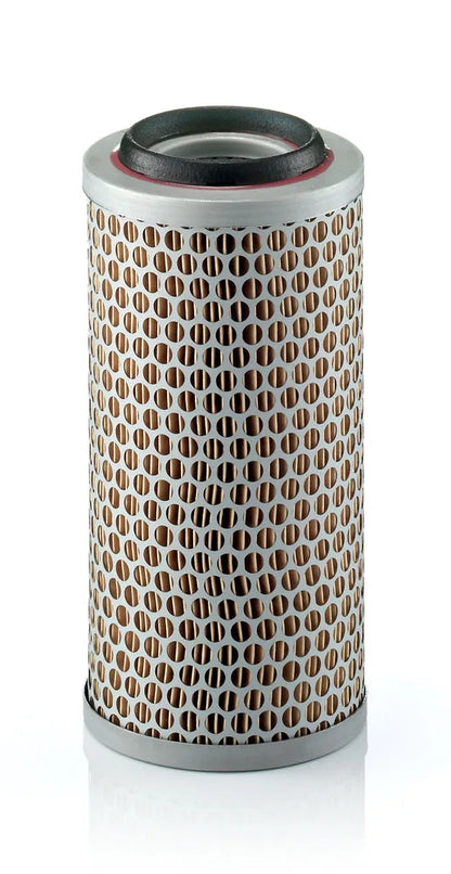 Filtru Aer Mann-Filter pentru Fendt - C 1176/3