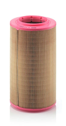 Alte Filtre Auto MANN-FILTER 0.81 kg - C 17 237