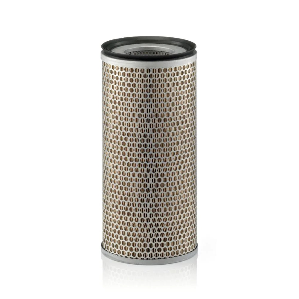 Filtru Aer Mann-Filter - C18398