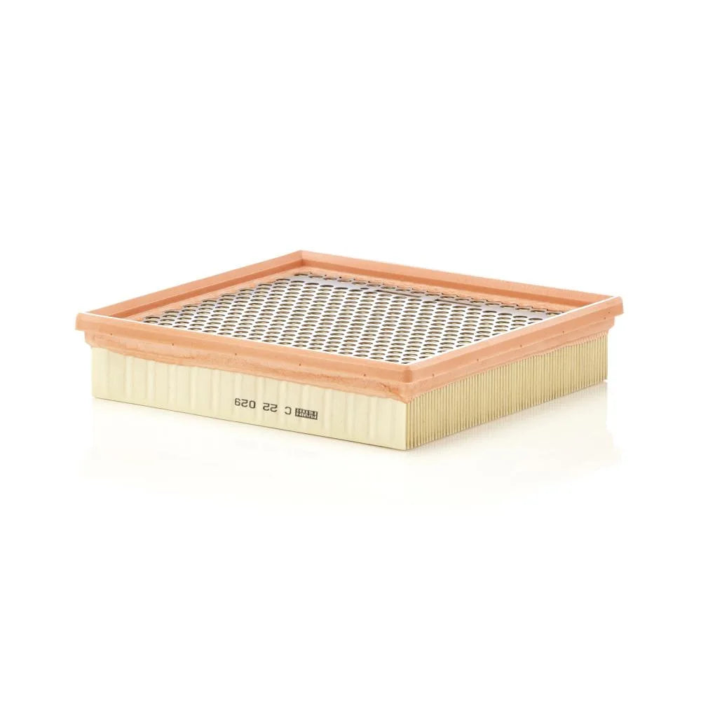 Filtru Aer Mann-Filter - C 22 029