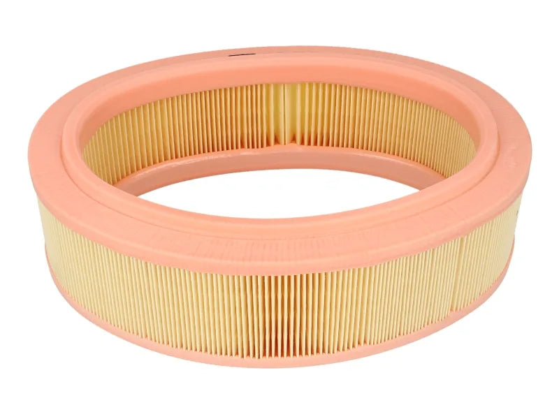 Filtru Aer Mann-Filter pentru Dacia Logan/Sandero/Solenza/Supernova, Renault Clio/Clio Symbol/Kangoo/Kangoo Express/Logan - C 2672/1
