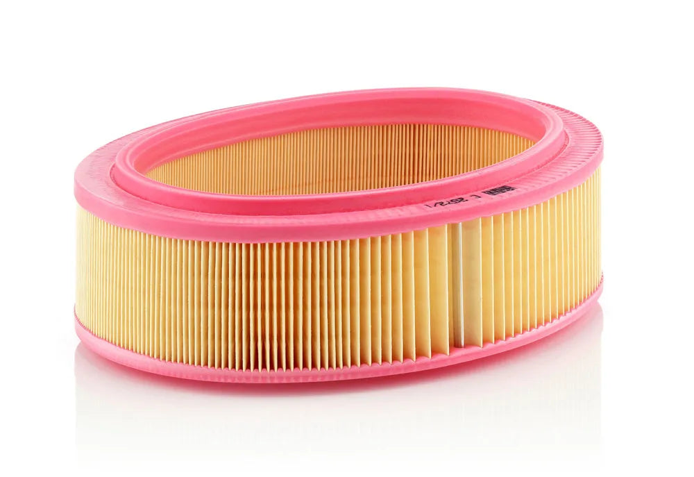 Filtru Aer Mann-Filter pentru Dacia Logan/Sandero/Solenza/Supernova, Renault Clio/Clio Symbol/Kangoo/Kangoo Express/Logan - C 2672/1