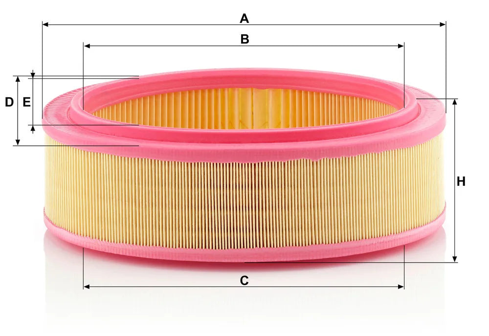 Filtru Aer Mann-Filter pentru Dacia Logan/Sandero/Solenza/Supernova, Renault Clio/Clio Symbol/Kangoo/Kangoo Express/Logan - C 2672/1