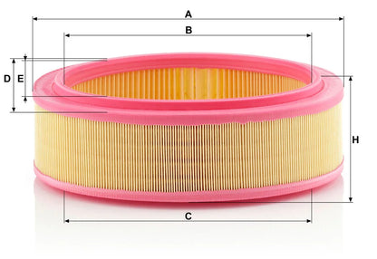 Filtru Aer Mann-Filter pentru Dacia Logan/Sandero/Solenza/Supernova, Renault Clio/Clio Symbol/Kangoo/Kangoo Express/Logan - C 2672/1